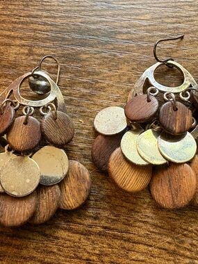 Brown Wood and Silvery Disc Dangle Earrings